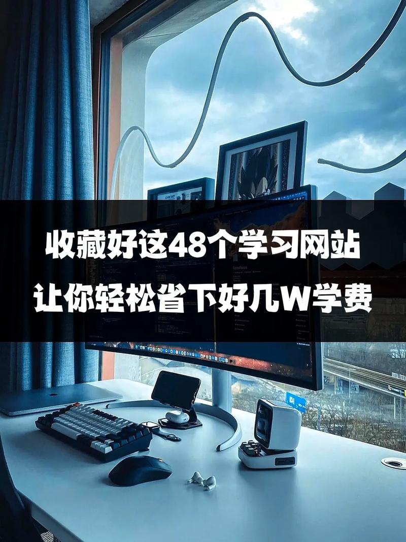 网金攻略哪里找?这几个网站让你轻松入门!