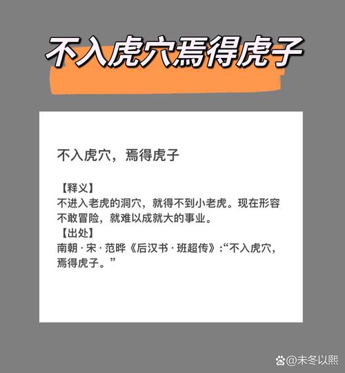 老虎地图官网打不开？解决方法看这里！
