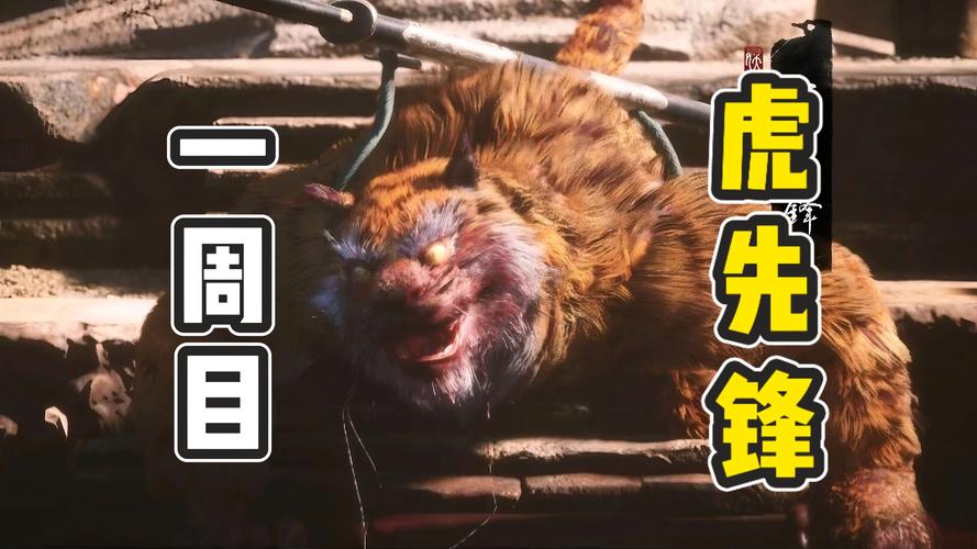 老虎地图官网打不开?解决方法看这里!