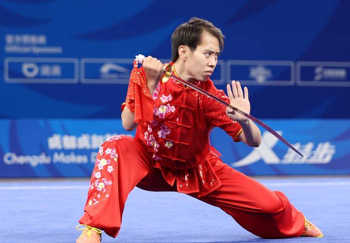 网金武功系数详解,各个武功系数对比分析!