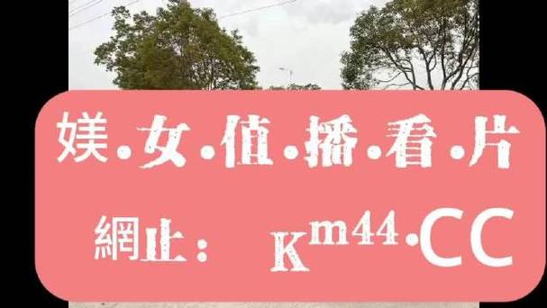 找黑料不打烊的网站？试试这个浏览器！