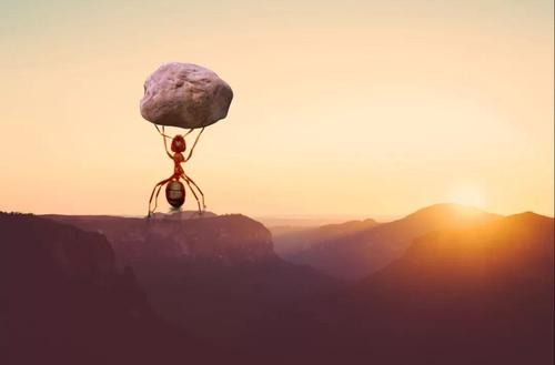 米尔图库是哪家公司的?原来背景这么强大!