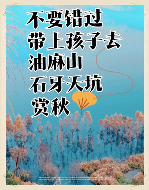 粗麻小径好玩吗?亲身体验告诉你值不值得去!