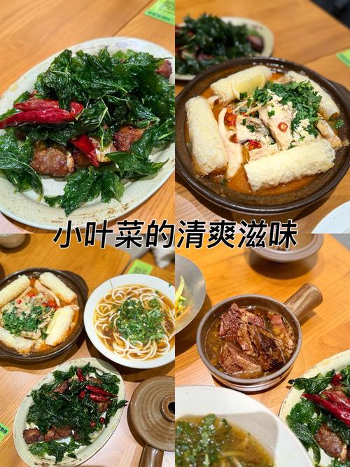 空山菜摘芽怎么获得高分?高手玩家经验分享!