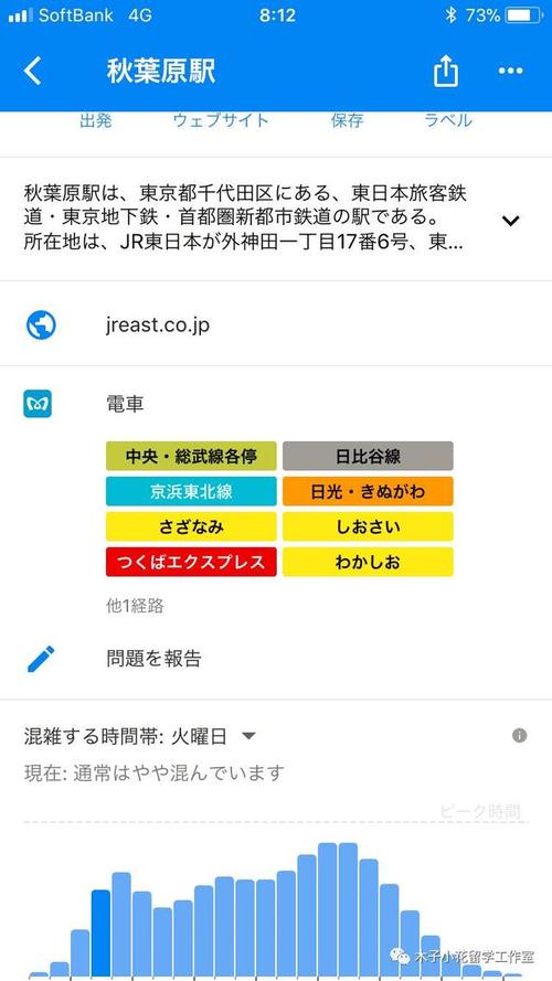 秋叶原之旅攻略怎么写？新手必看技巧分享！