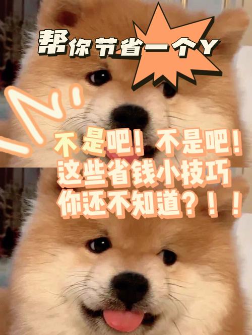 盖伦涨价了？别慌！教你几招省钱小技巧！