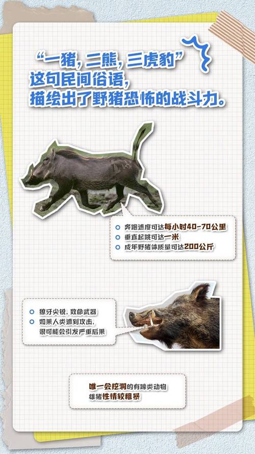 真野猪怎么打才能快？掌握这些机制轻松通关！