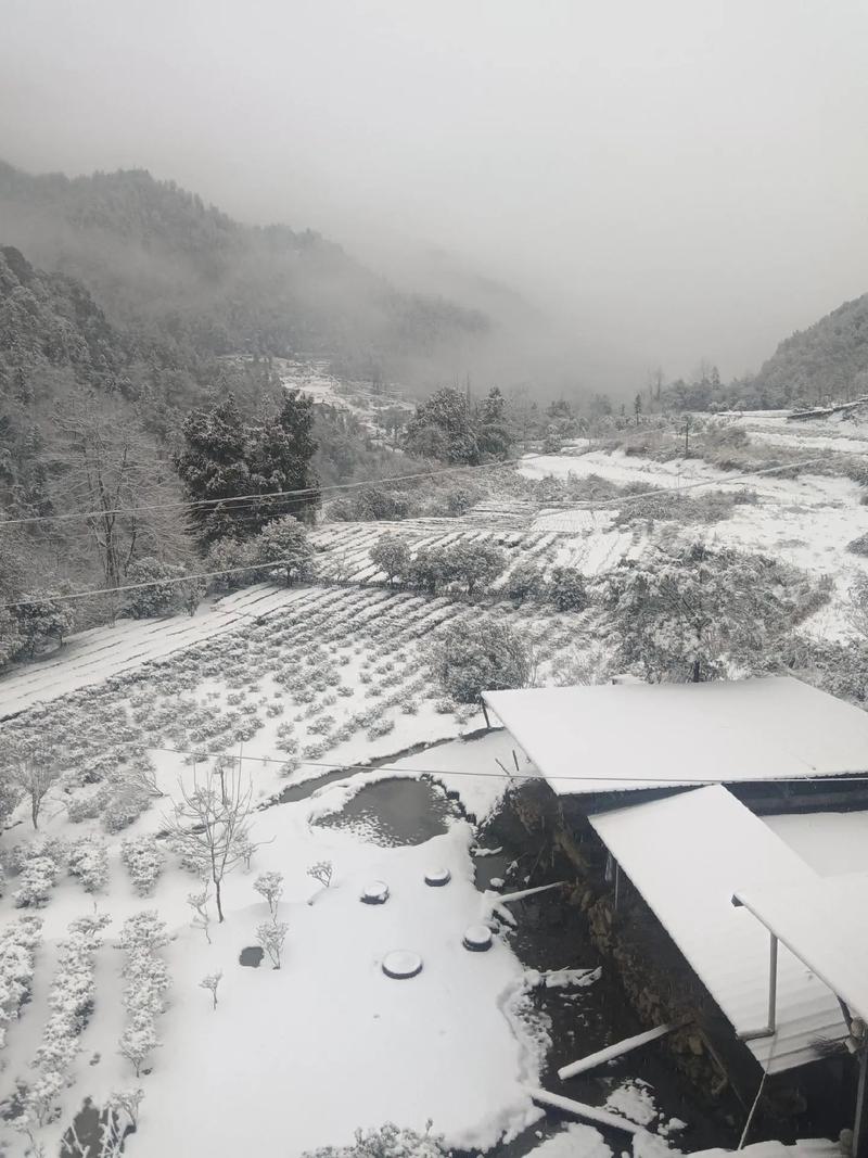 瑞雪兆丰年好在哪?这篇给你说明白!