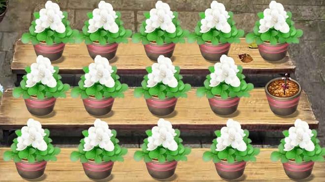 玫瑰小镇嫁接攻略来了，新手也能快速学会！