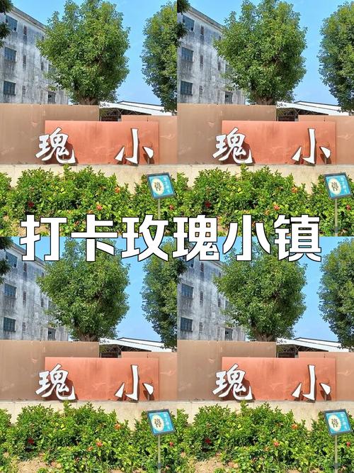 玫瑰小镇嫁接攻略来了，新手也能快速学会！