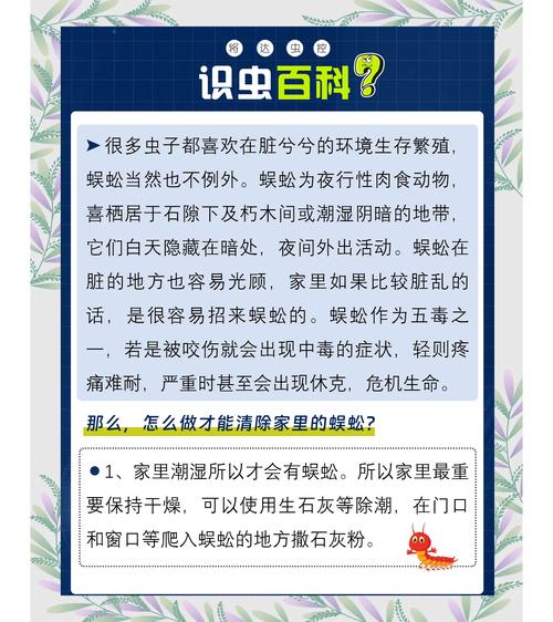 王虫虫没家怎么办？这几个方法帮你快速找到家！