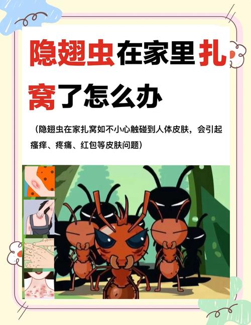 王虫虫没家怎么办？这几个方法帮你快速找到家！