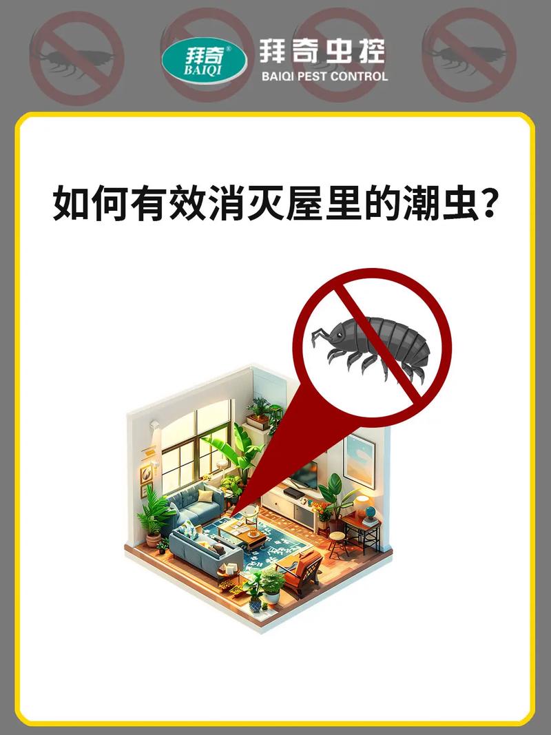 王虫虫没家怎么办？这几个方法帮你快速找到家！