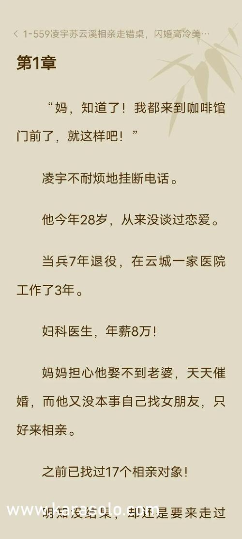 电车之狼r秘籍大全分享,内含各种隐藏技巧!