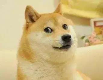 曾哥纯爷们是什么梗？这些名场面你一定看过！