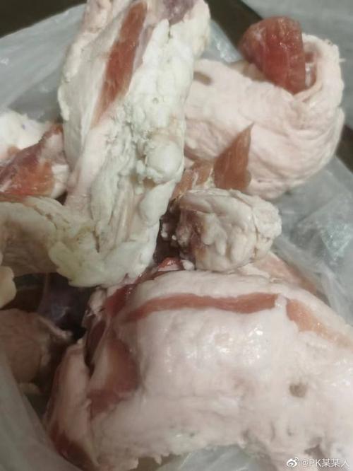 猪投上海事件引热议,看看大家怎么说!