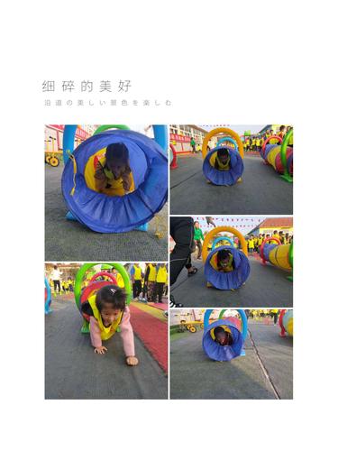 爬爬爬免费网站哪个好用?我来帮你对比一下!