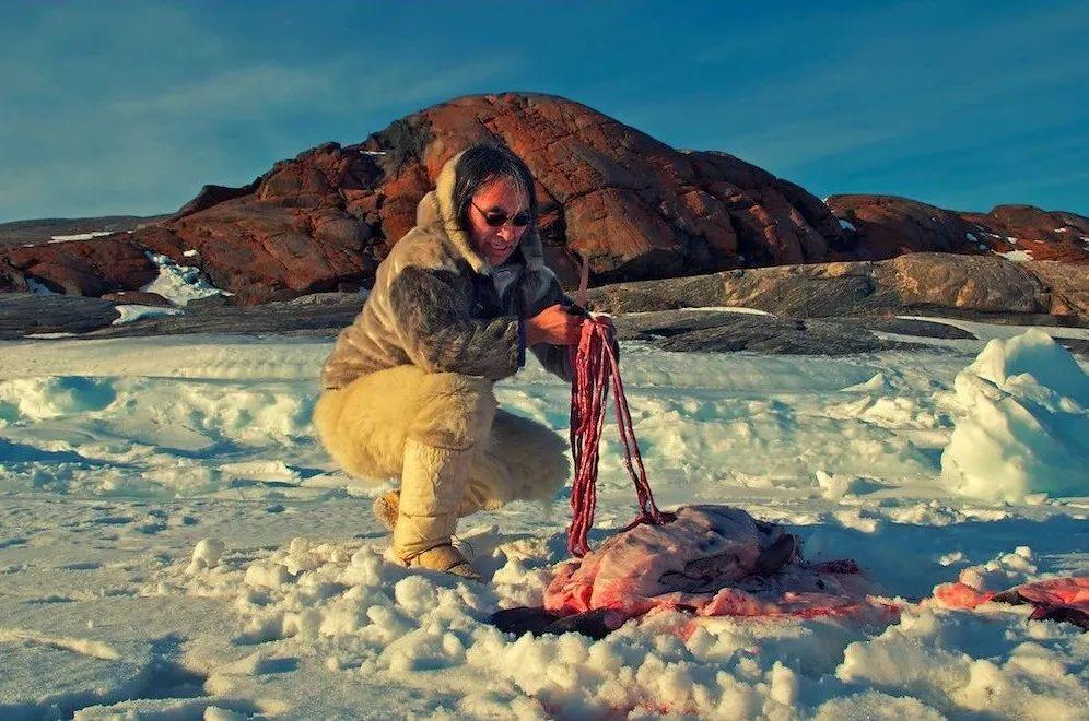 熟练的猎人是怎么狩猎的？这篇攻略给你讲透！