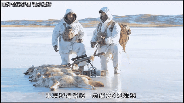 熟练的猎人是怎么狩猎的?这篇攻略给你讲透!