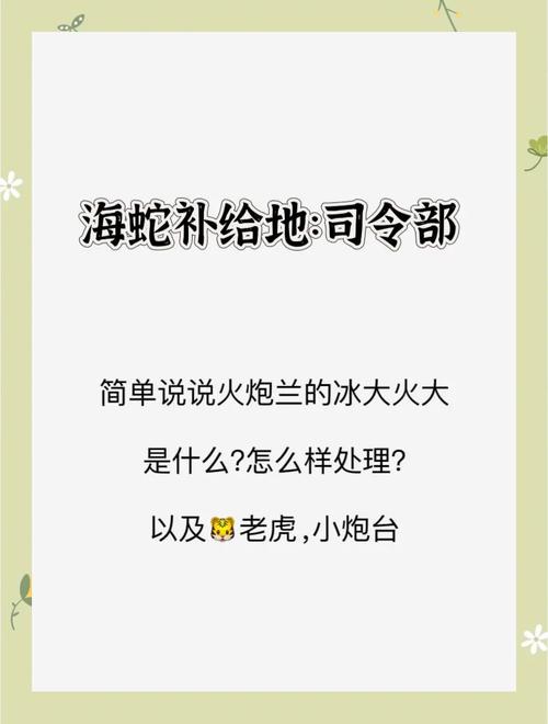 炮火兰好玩吗?这款游戏到底值不值得入坑?
