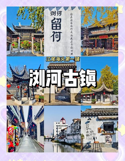 烟雨江南太仓怎么玩才尽兴？这份旅游攻略请收好！