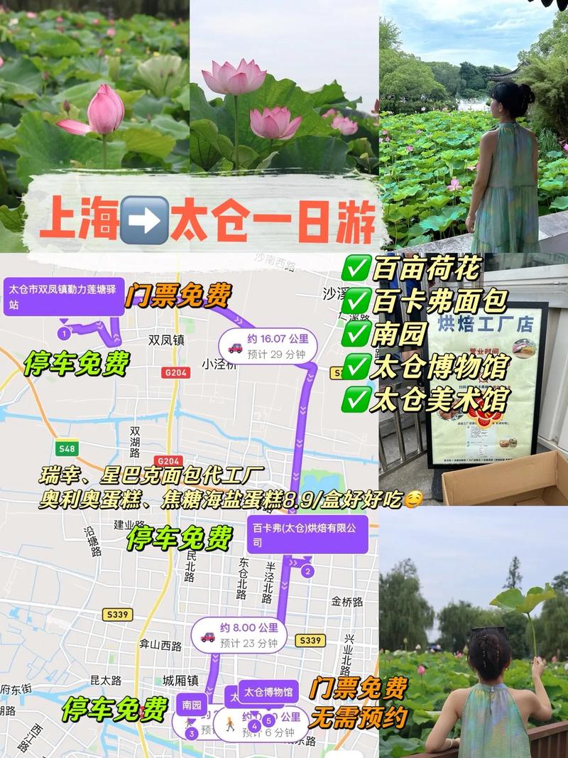 烟雨江南太仓怎么玩才尽兴？这份旅游攻略请收好！