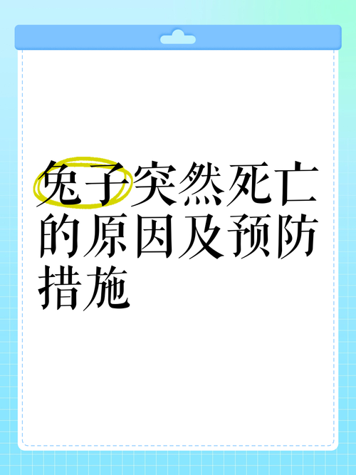 炸死小兔子是什么梗？这个热点事件你知道吗？