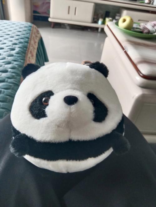 炫舞休闲社区熊猫娃娃在哪？很多人都在问的答案来了！