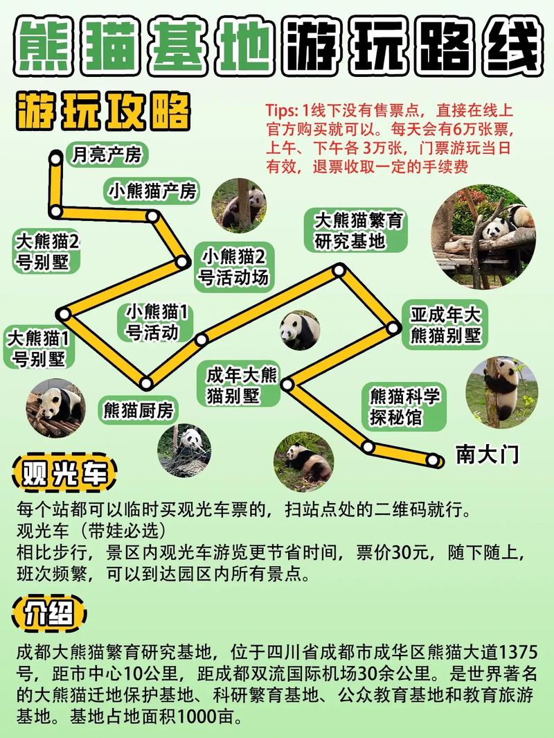 熊猫人新手任务怎么做？看完这篇攻略就够了！