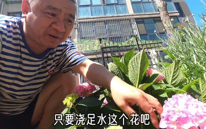 水仙如果还有明天该怎么救？园艺老手教你这么做！