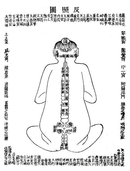 法宝内丹摆放位置揭秘，这样做才有效！