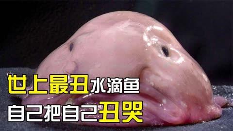 世上最坑爹的玩意排行榜，第一名竟然是它？