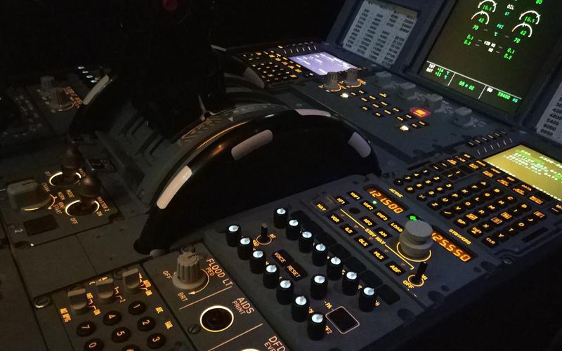 模拟飞行2004教程哪里找？老玩家手把手教你快速上手！