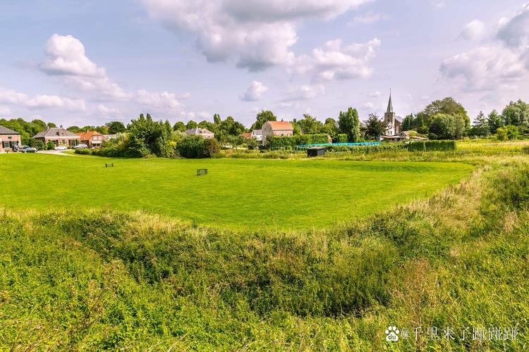 埃门谷花苗哪里买？这些地方让你挑到眼花！