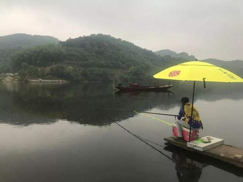 桃园生活技能怎么赚钱？这些方法让你盆满钵满！