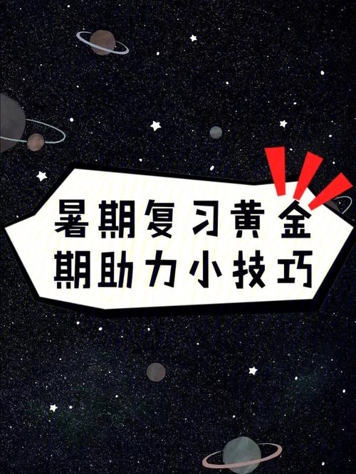 最新steal攻略分享，这些技巧让你事半功倍！