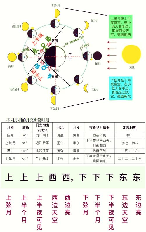 为什么月有阴晴圆缺变化？一张图告诉你月相的秘密。