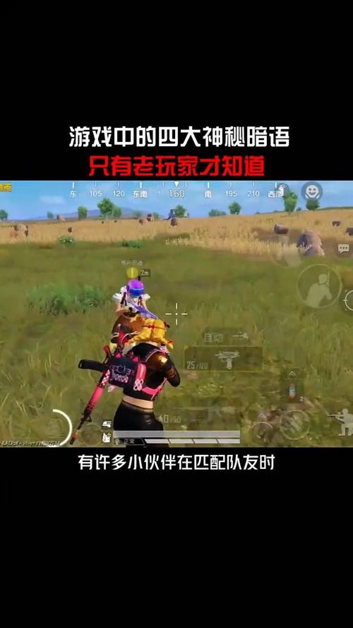 吃鸡辅助用哪个？老玩家分享几款好用的吃鸡辅助！