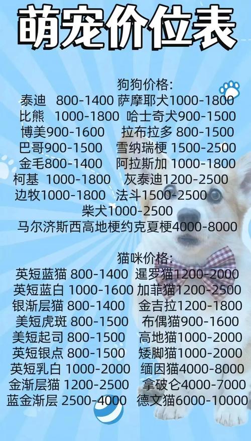 时间宠经验表最新版分享，宠物快速升级必备攻略！