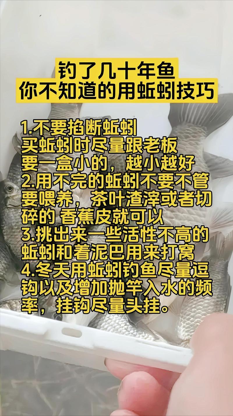 梦想世界钓鱼怎么玩？这几个技巧让你秒变高手！