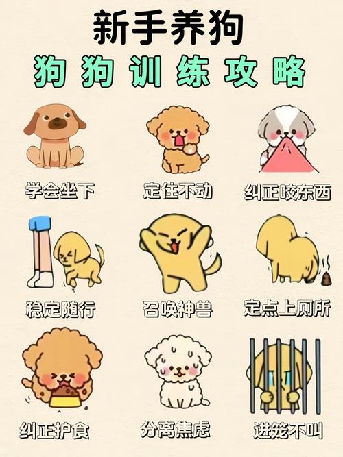 易拉狗使用教程,简单几步轻松上手!