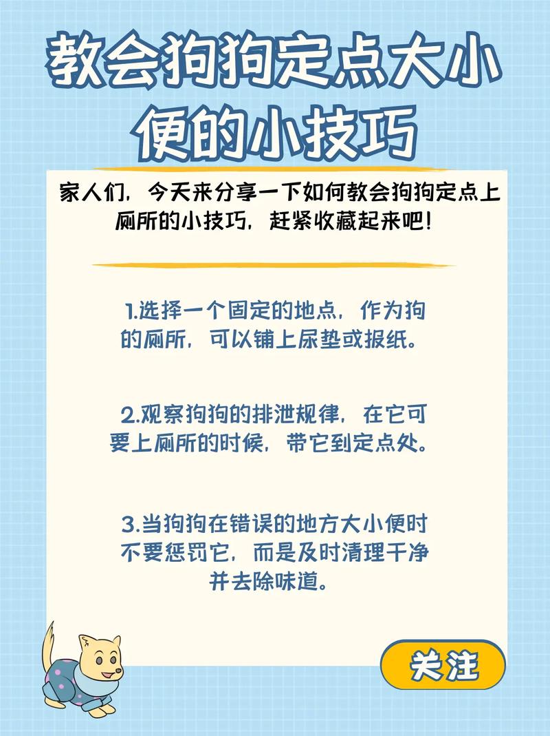 易拉狗使用教程，简单几步轻松上手！