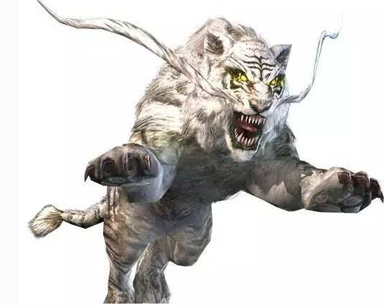 常见的灵魂兽有哪些？看看你的专属守护兽是不是其中之一！