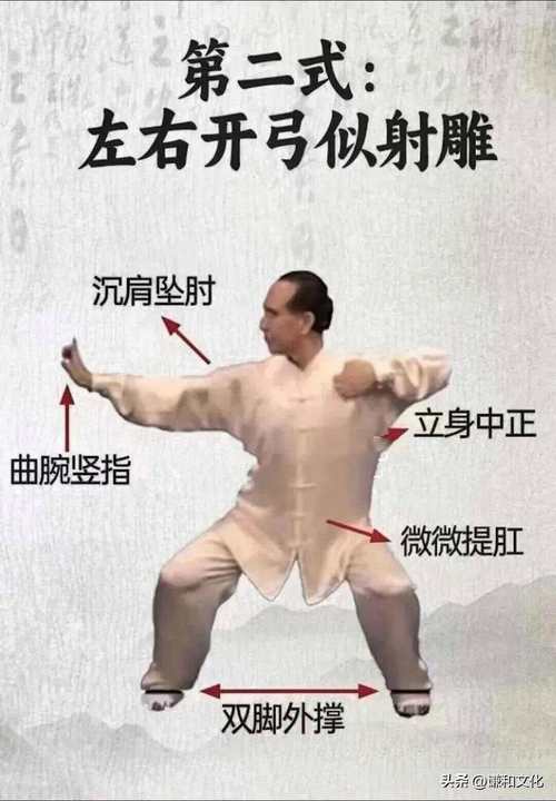 政坛功夫怎么练？这几个技巧让你快速上手！