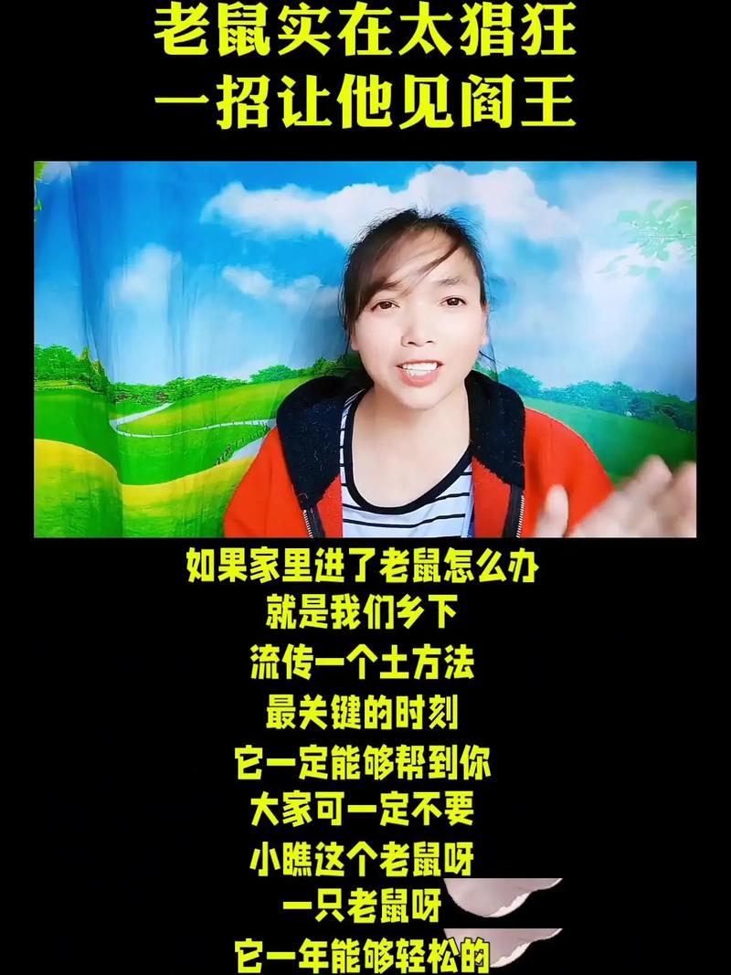 家里发现pis老鼠怎么办？几个步骤教你快速解决！