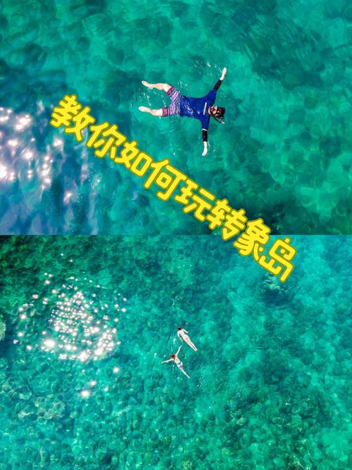 无尽的航海怎么快速升级?这份攻略快收藏!