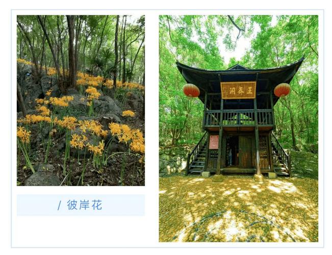 新仙剑奇侠传2无敌版难不难？这份攻略让你轻松玩！