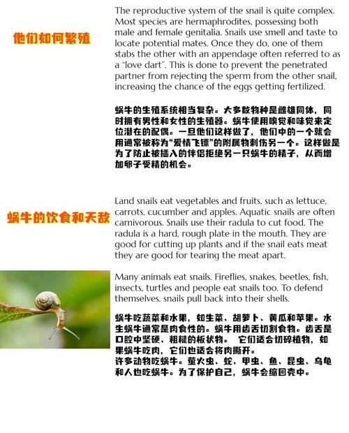 旅行青蛙蜗牛是稀有动物吗？获取难度分析！