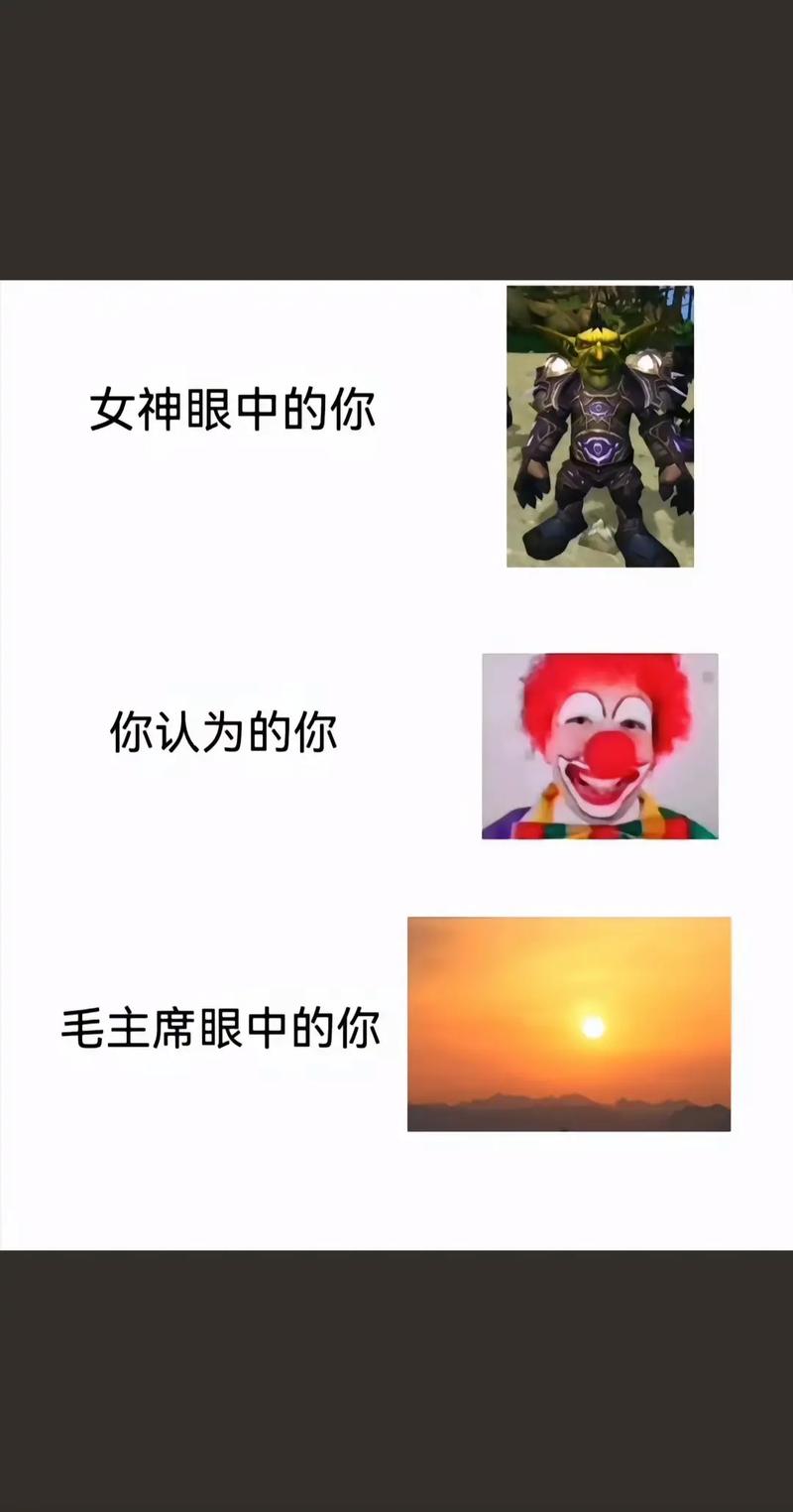 可爱的哈尼为什么这么火?了解这几点你就懂了!