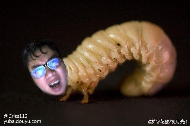 什么是毛骨悚然的蠕动？看完这个你就明白了！